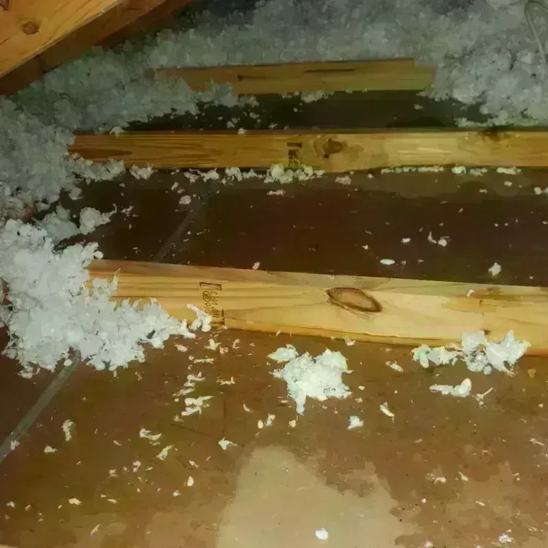 Attic Water Damage in Comanche County, OK