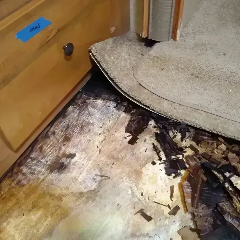 Wood Floor Water Damage in Comanche County, OK